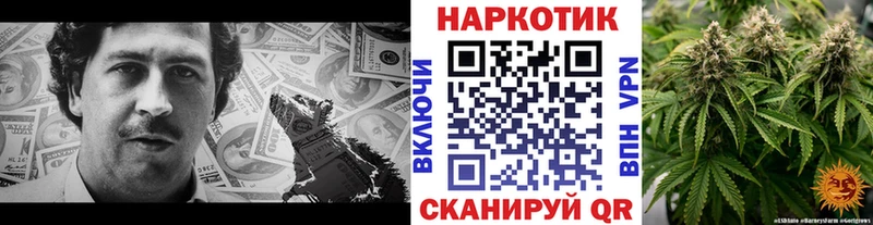 Канабис Брюховецкая
