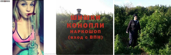 каннабис Богородицк